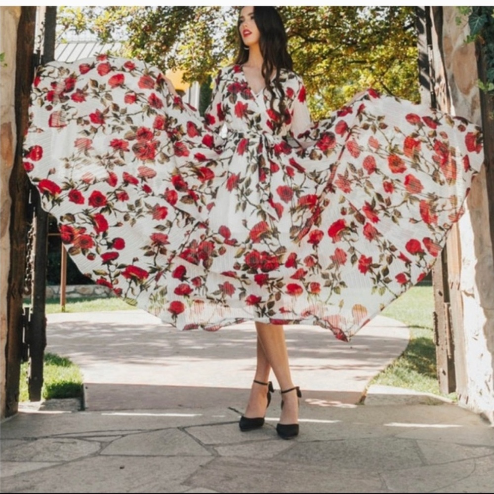 Ivy City Co Rosemary Dress - Red and White Floral Long Sleeve Dress